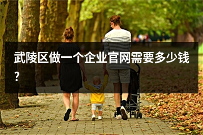 [year]武陵区做一个企业官网需要多少钱?