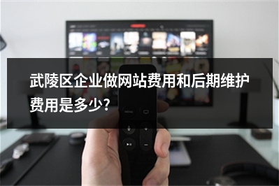 [year]武陵区企业做网站费用和后期维护费用是多少?
