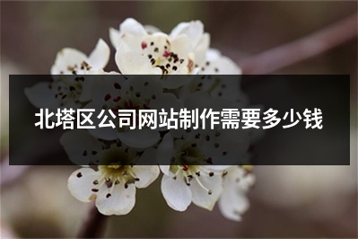 [year]北塔区公司网站制作需要多少钱