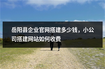 [year]岳阳县企业官网搭建多少钱，小公司搭建网站如何收费