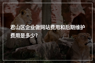 [year]君山区企业做网站费用和后期维护费用是多少?