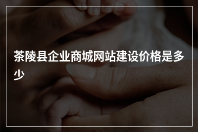 [year]茶陵县企业商城网站建设价格是多少