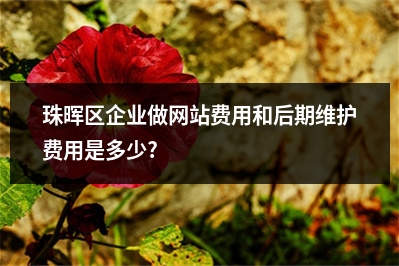 [year]珠晖区企业做网站费用和后期维护费用是多少?
