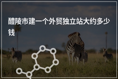 [year]醴陵市建一个外贸独立站大约多少钱