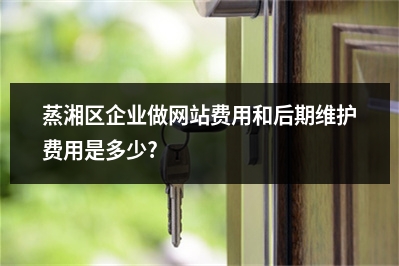 [year]蒸湘区企业做网站费用和后期维护费用是多少?
