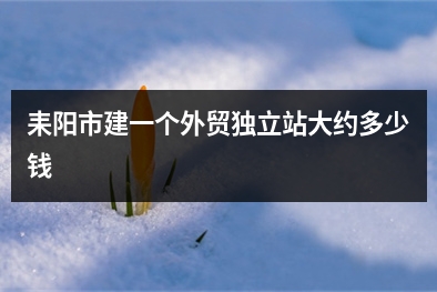 [year]耒阳市建一个外贸独立站大约多少钱
