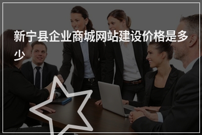 [year]新宁县企业商城网站建设价格是多少