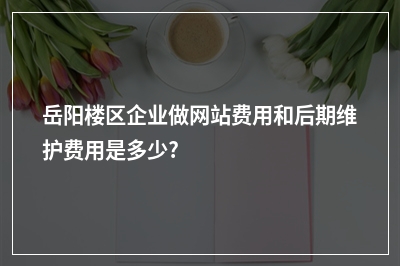 [year]岳阳楼区企业做网站费用和后期维护费用是多少?