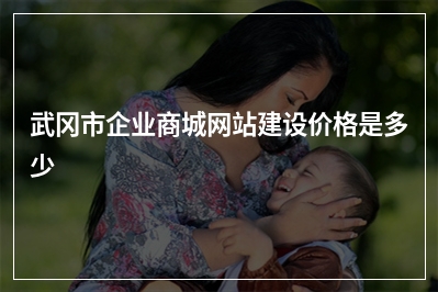 [year]武冈市企业商城网站建设价格是多少
