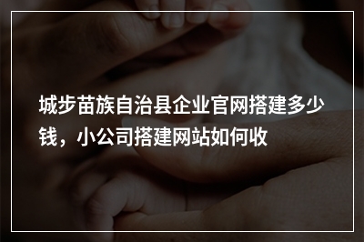[year]城步苗族自治县企业官网搭建多少钱，小公司搭建网站如何收费
