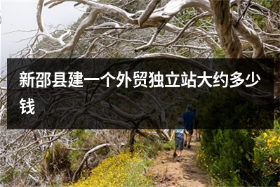 [year]新邵县建一个外贸独立站大约多少钱